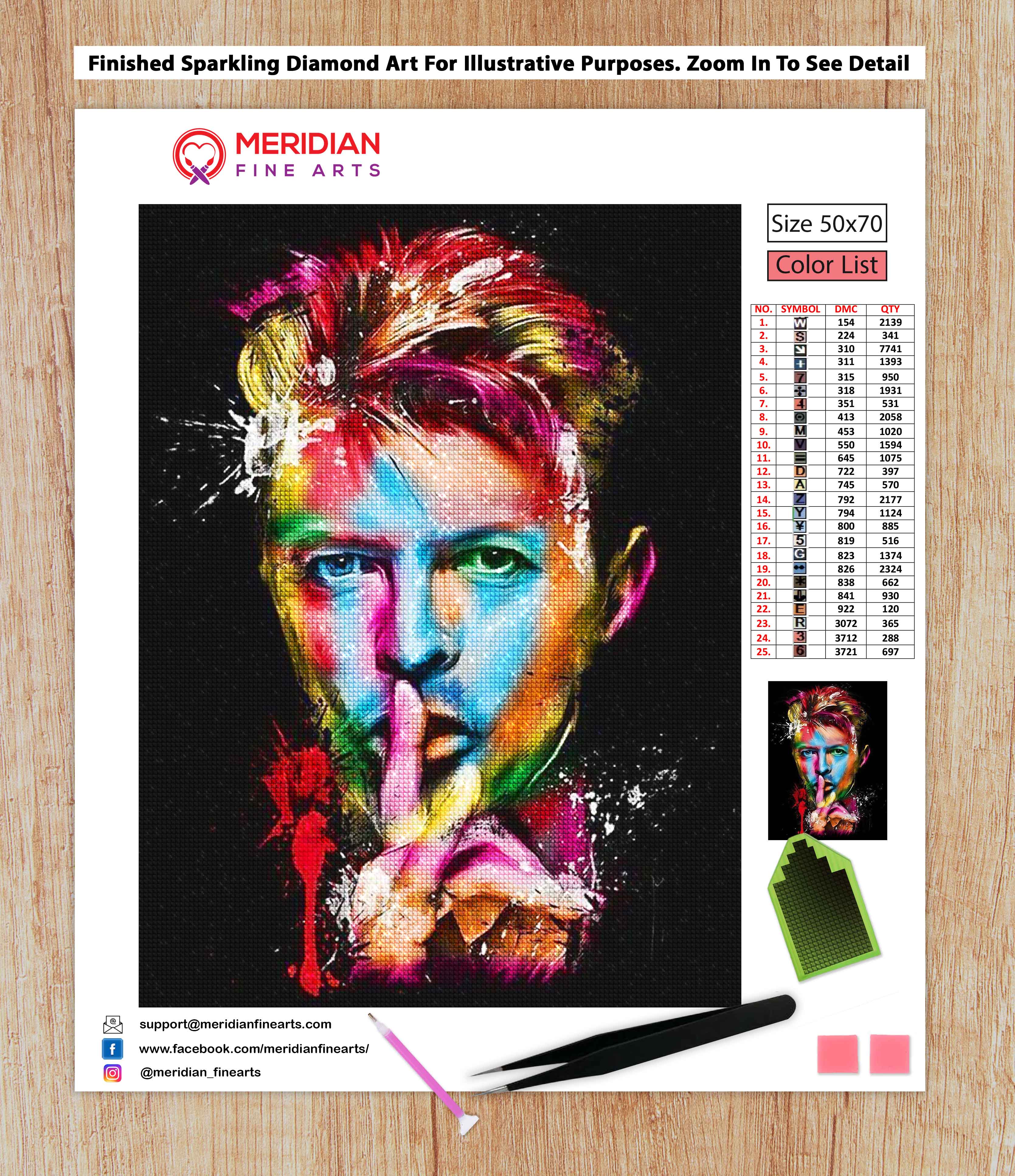Colorful Bowie - Diamond Art Kit – Meridian Fine Arts