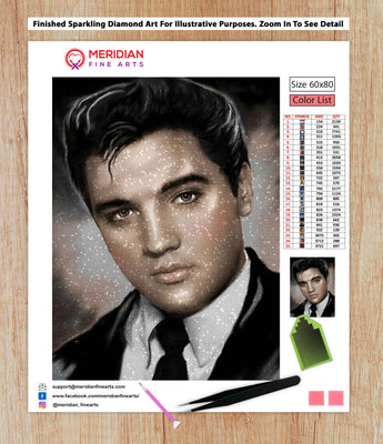 Elvis Portrait - Diamond Art Kit