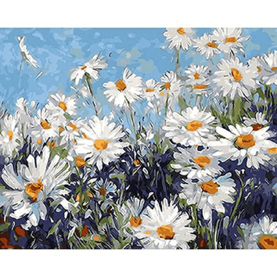 Field of Daisies