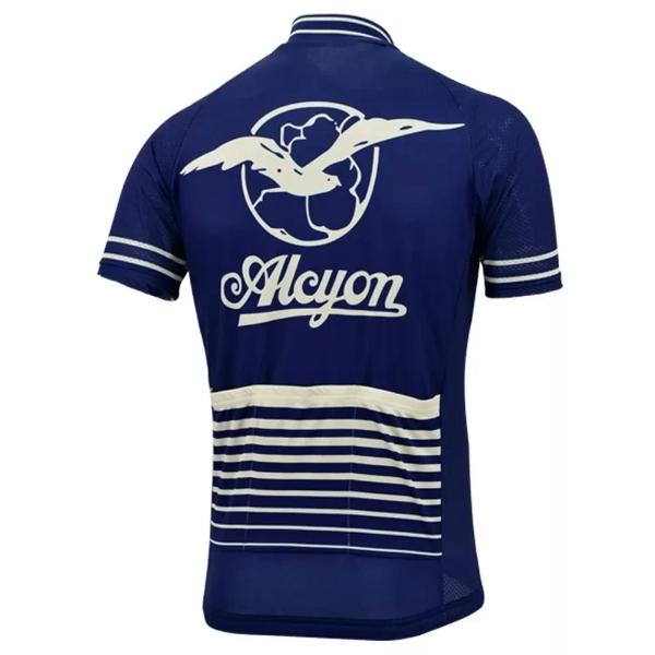 roubaix cycling jersey