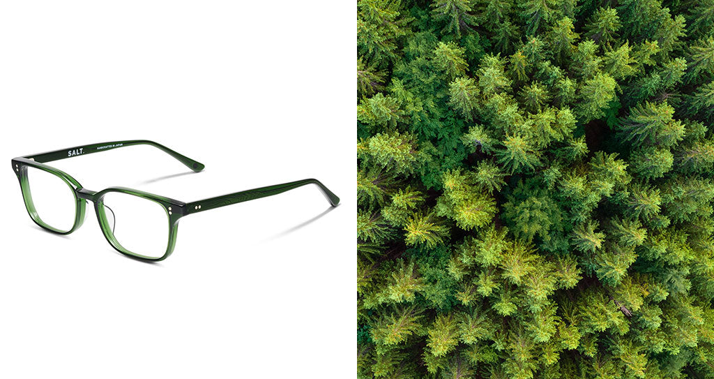 Evergreen acetate inspired by the forests. Salt. Livingston in Evergreen
