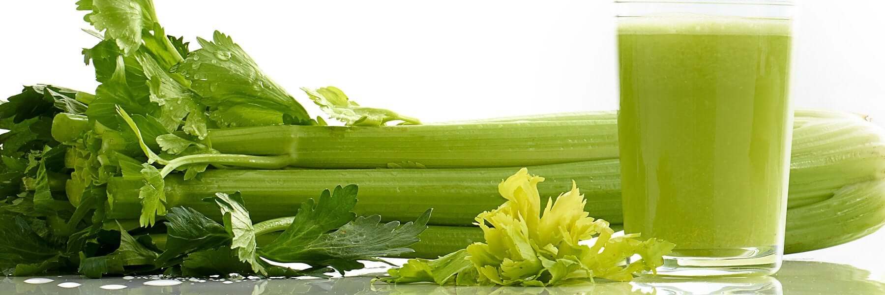 MM900HDS Low Speed Masticating Celery Juicer