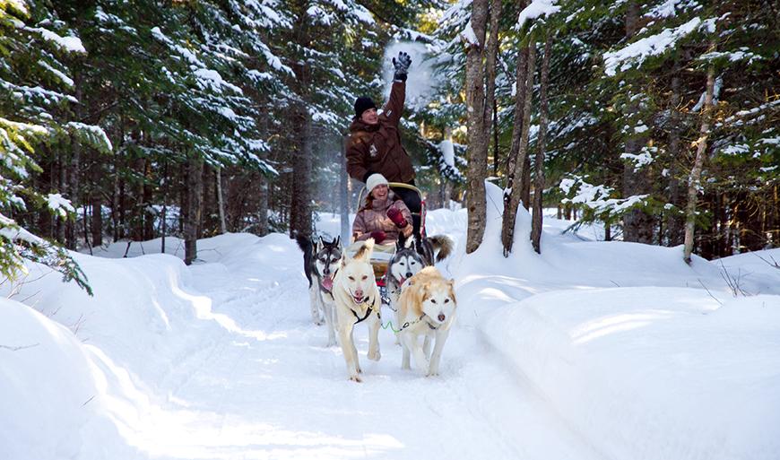 Treat yourself to a romantic dog sled ride