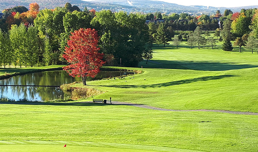 Forfait De Golf Pour Une Personne Outgo