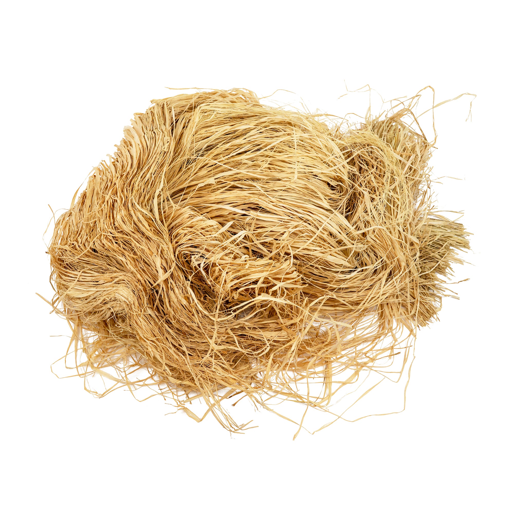 Raffia grass questions