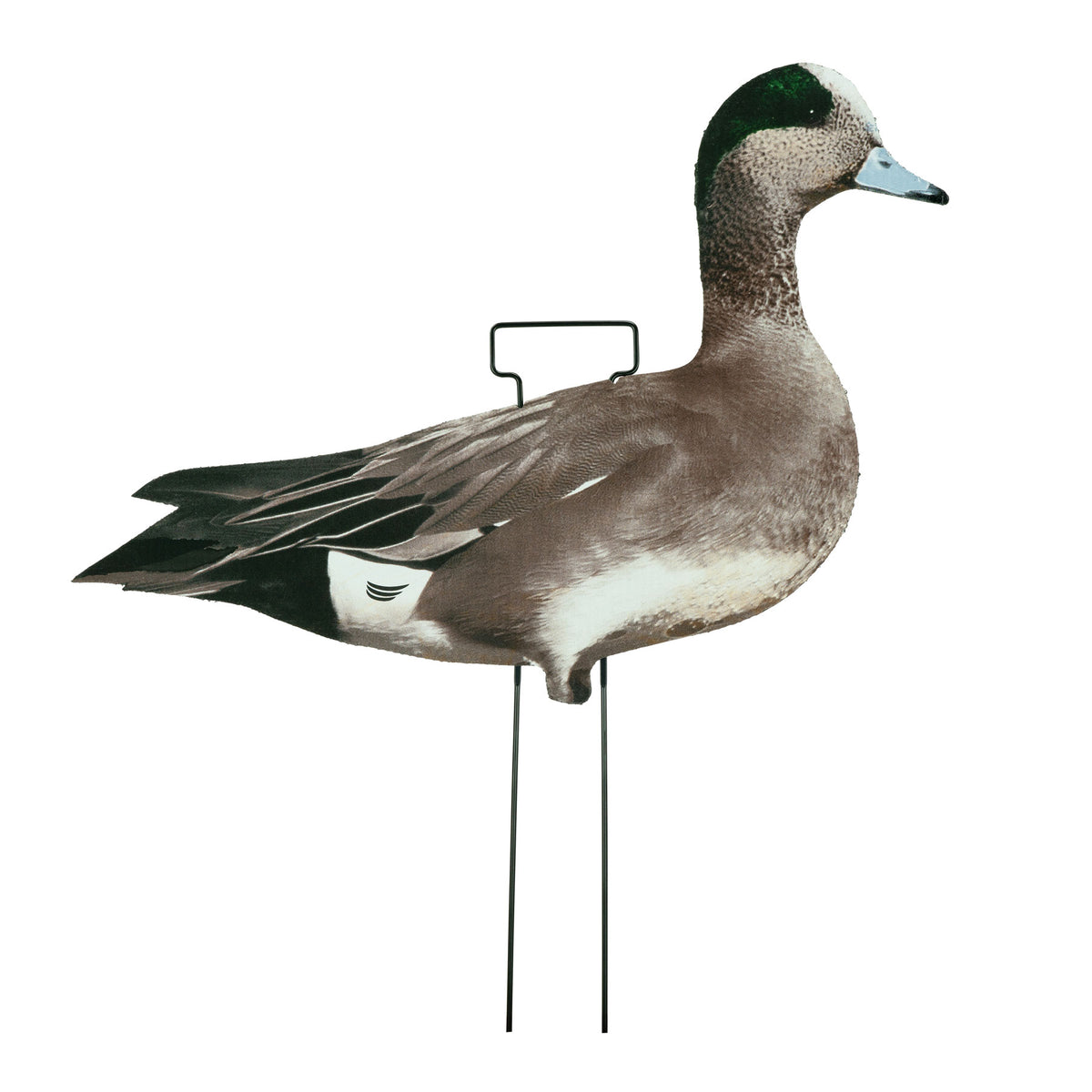 Fully Flocked Wigeon Skinny Decoys (12 Pack)