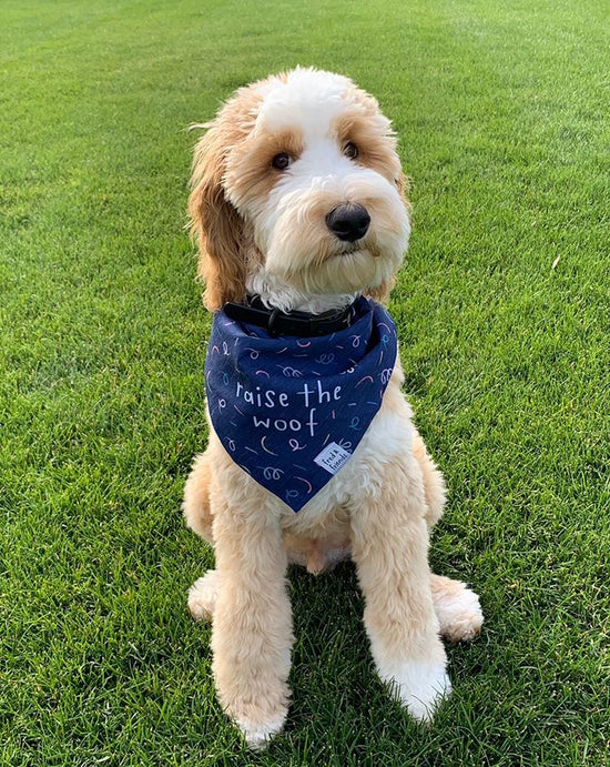 Load image into Gallery viewer, Raise the Woof Navy Pun Bandana
