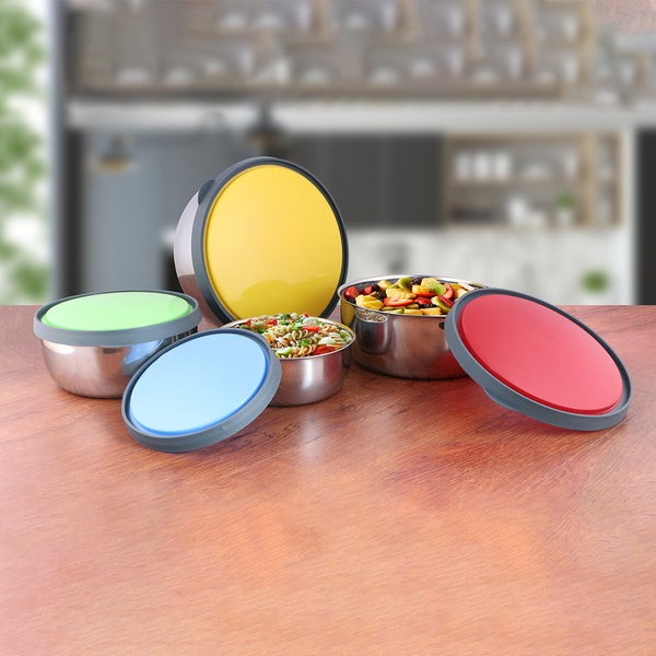 Stainless Steel 4 PCS Storage Container with Multi Color Lid Fresca