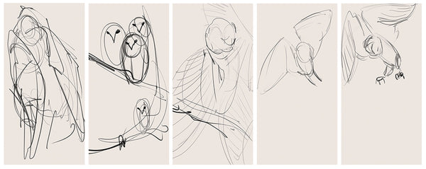 rough draft sketches of an owl