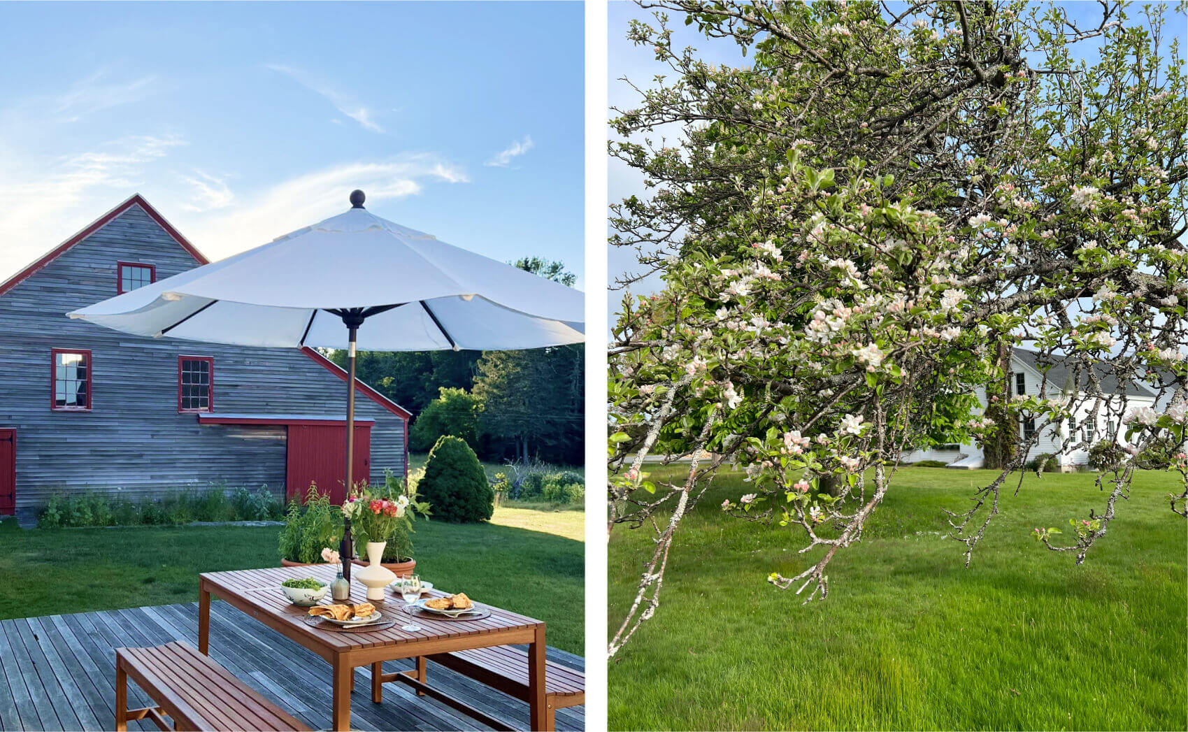 Barn and patio