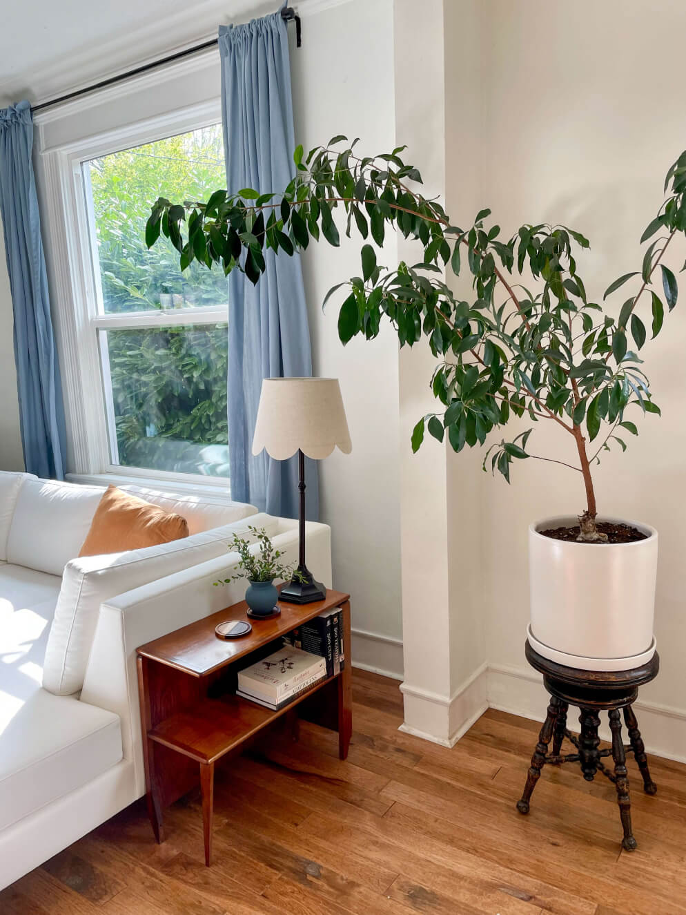 White Mota Bumper Sectional with plant and blue curtains