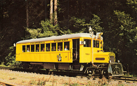 California Chrome Postcard 'The Skunk" Tourist Train On California Western Railway USA