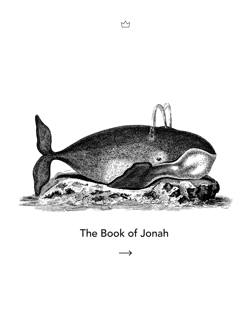 Learning the book of Jonah