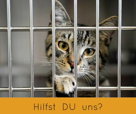 10% des Nettogewinns spenden wir an Tierheime