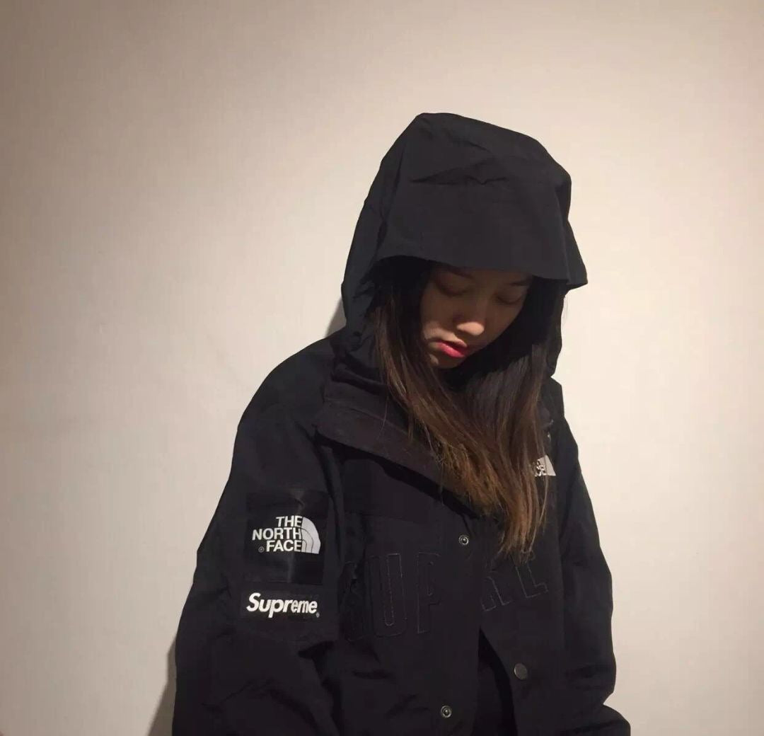 the north face 19ss