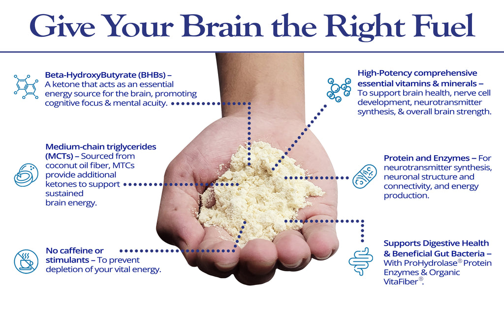 Give your brain the right fuel