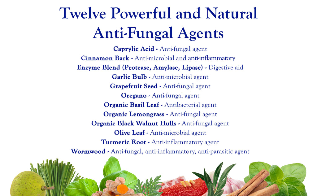 Twelve Powerful and Natural Anti-Funal Agents