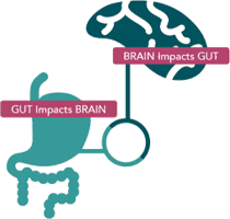 Brain&gut impacts