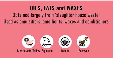 List of typical animal derived Oils, Fats and Waxes in cosmetics to stay away from if you're vegan