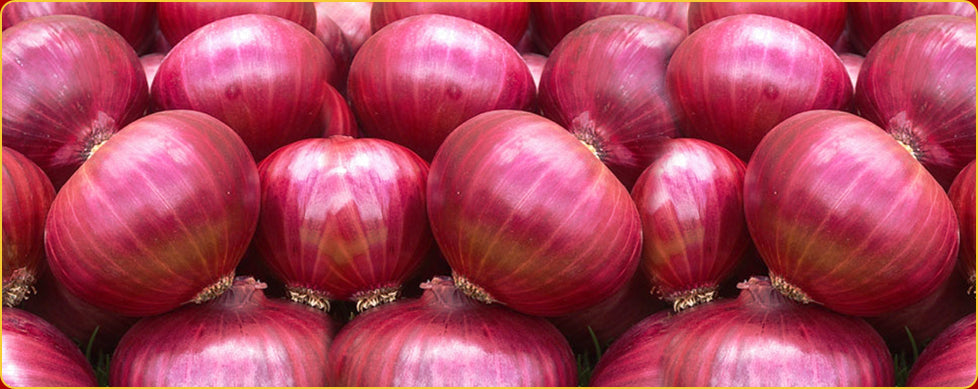 Fresh Red Onions, 3 lb Bag