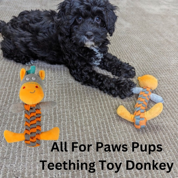 What is the safest puppy chew toy