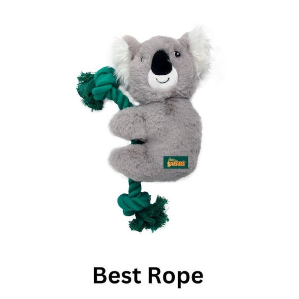 toys that are good and have a rope