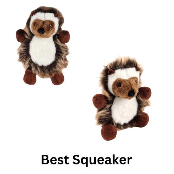 Best soft toys for clearance dogs