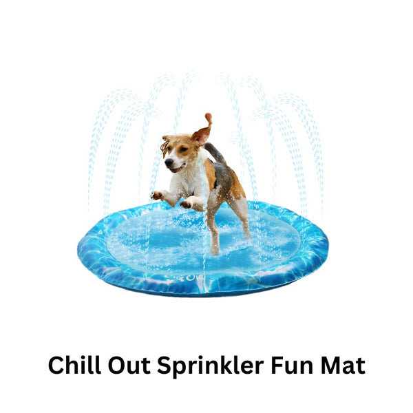 Chill Out Sprinkler Fun Mat - All For Paws