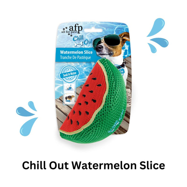 Chill Out Watermelon Slice - All For Paws