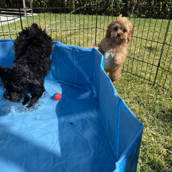 Cooling Down on Hot Days