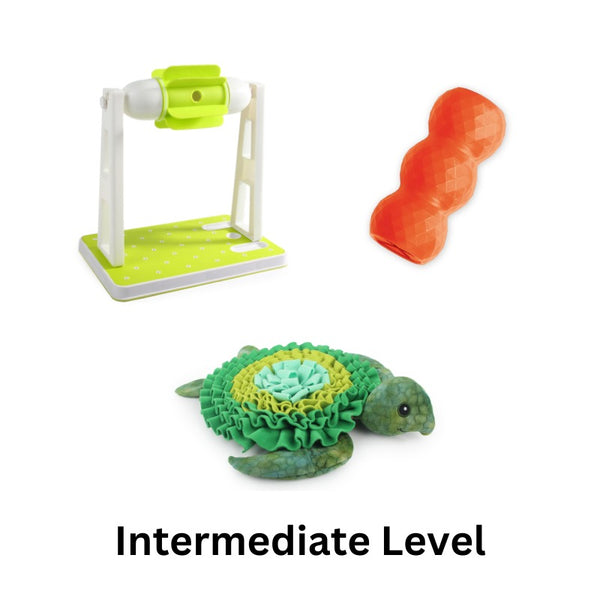 Dog Puzzles Toys with Slower Feeder | Treat Dispensing Dog Toys - Tortoise