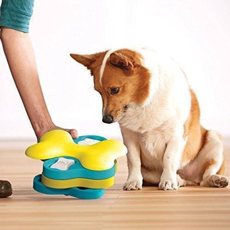 Introduce New Calming Toys to Your Dog