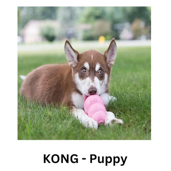KONG - Puppy
