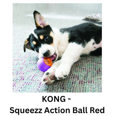 KONG - Squeezz Action Ball Red