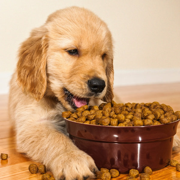 Puppies also require specific nutrients for their development