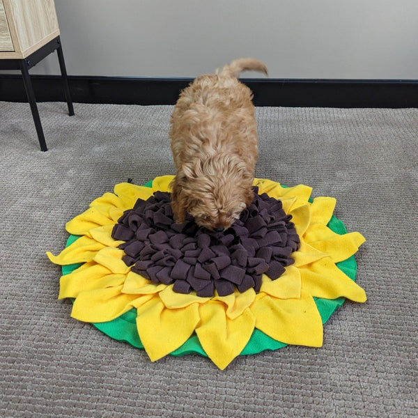 Sunflower Mat - All For Paws