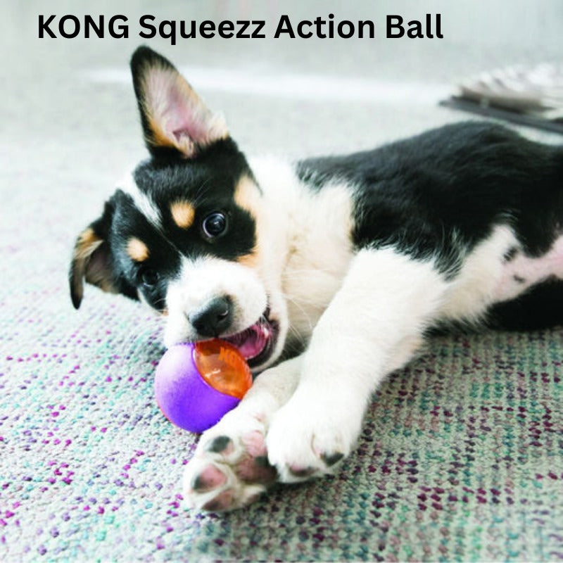 Beat Canine Boredom: Essential Dog Toys for Bored Dogs - Zach's