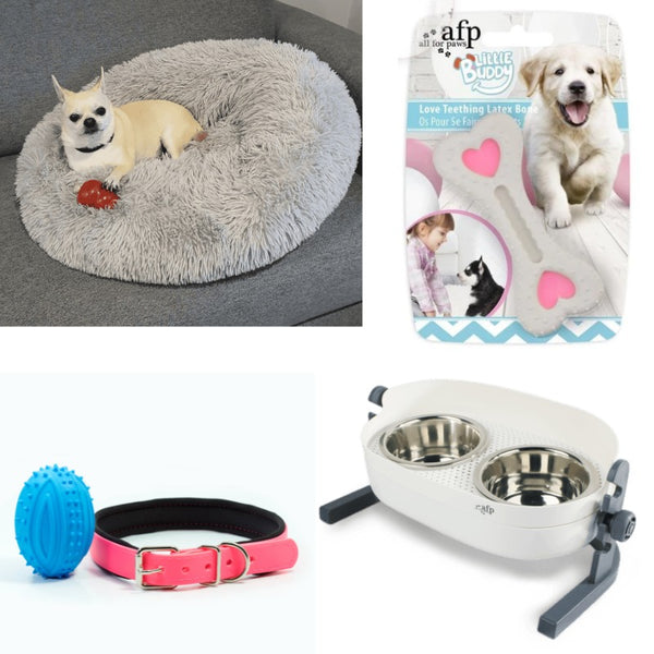 Training toy suggestions for puppies