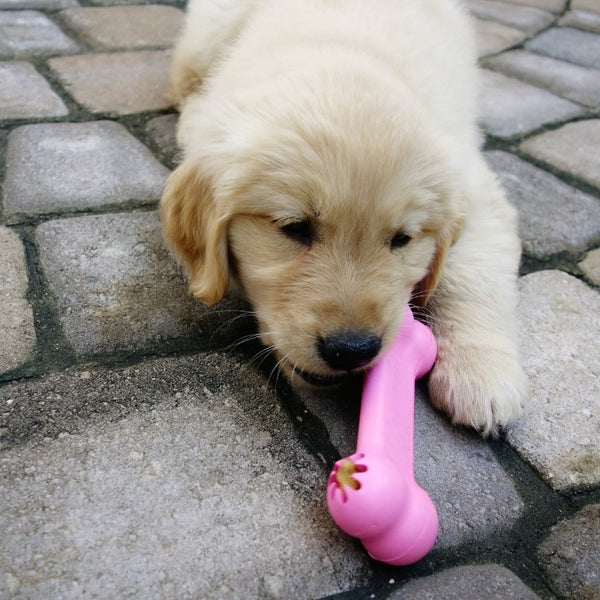 Puppy teething toys and distraction toys