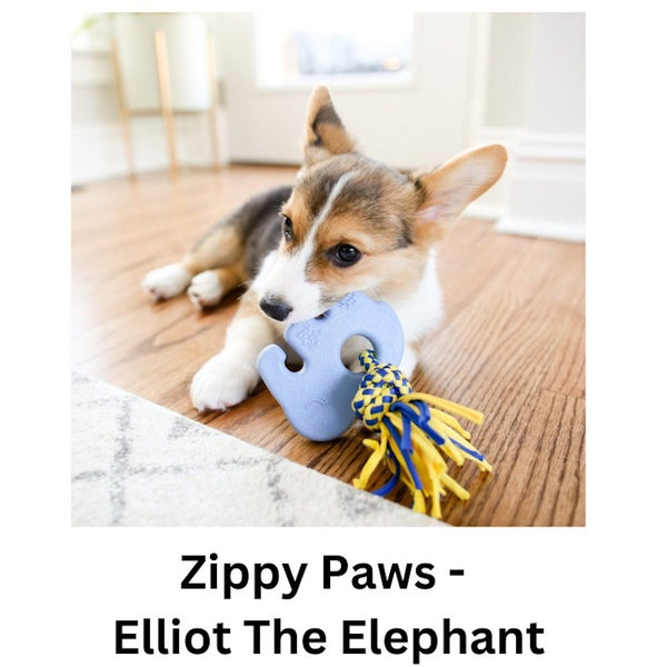 Zippy Paws - Zippytuff Teetherz Elliot The Elephant