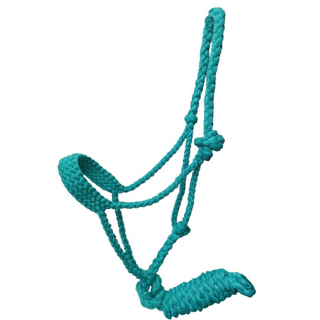 Turquoise Pony Muletape Style Halter