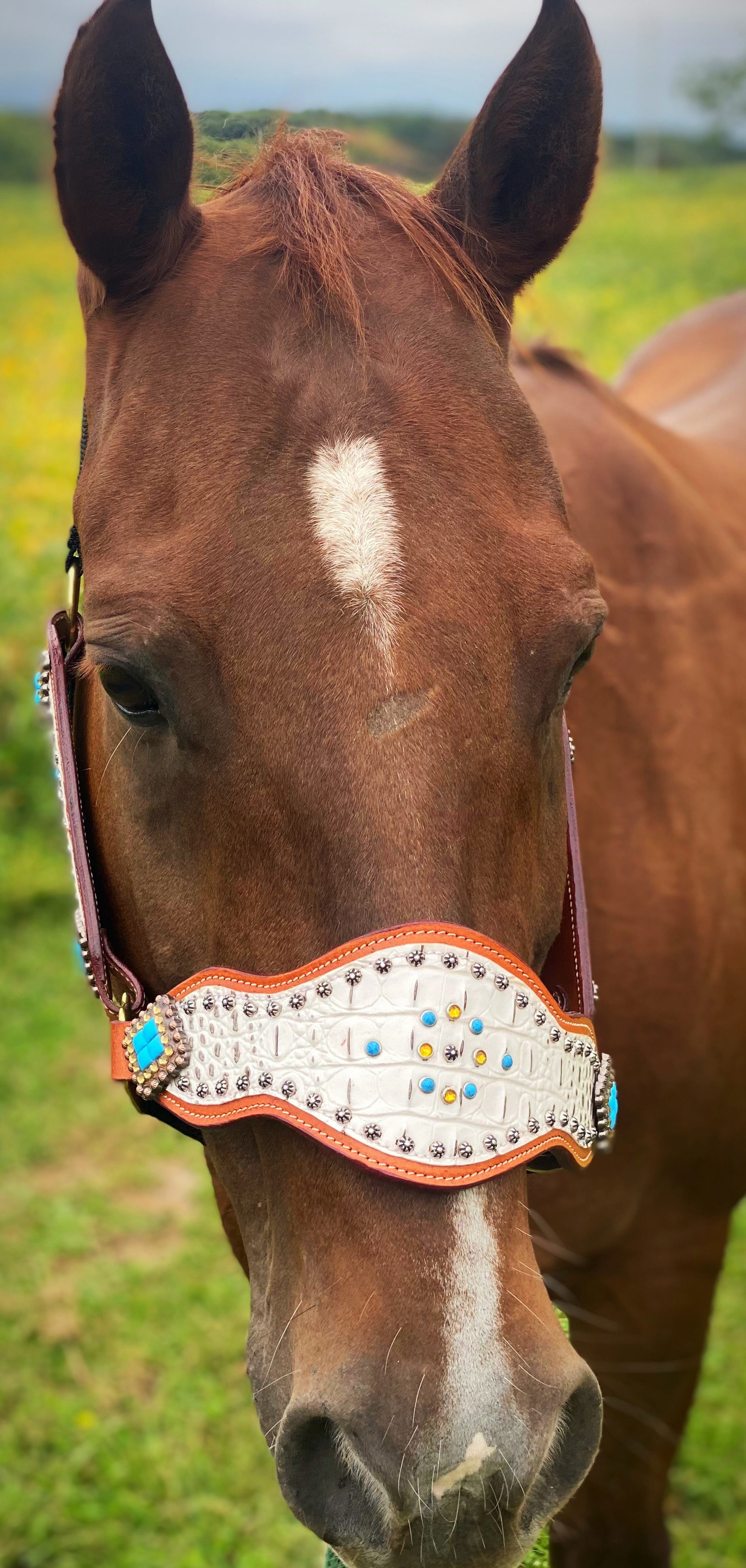 Chocolate & White Gator 3 Piece Bronc Halter Horse Tack 