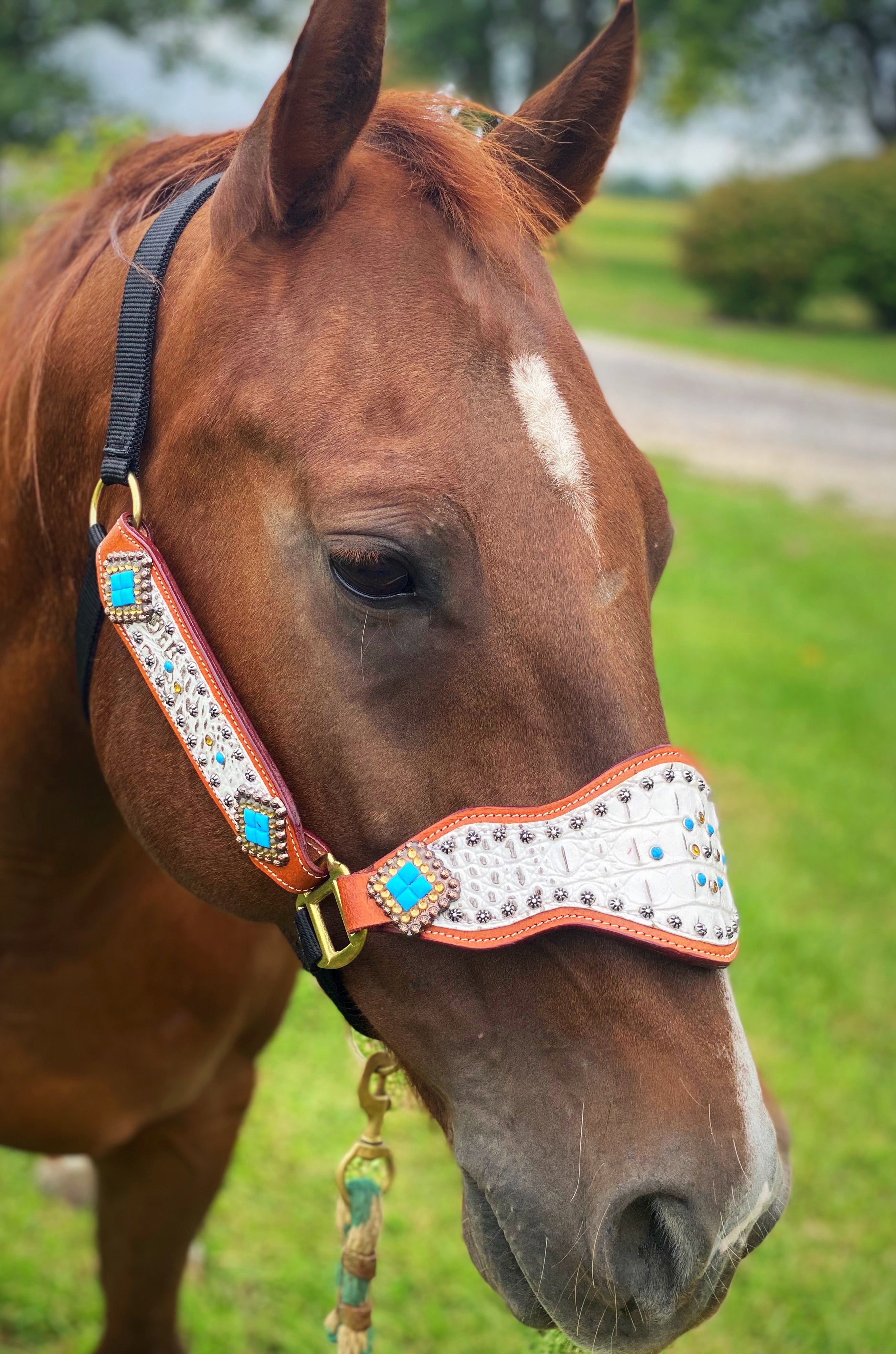 Louis Vuitton noseband bronc halter LV