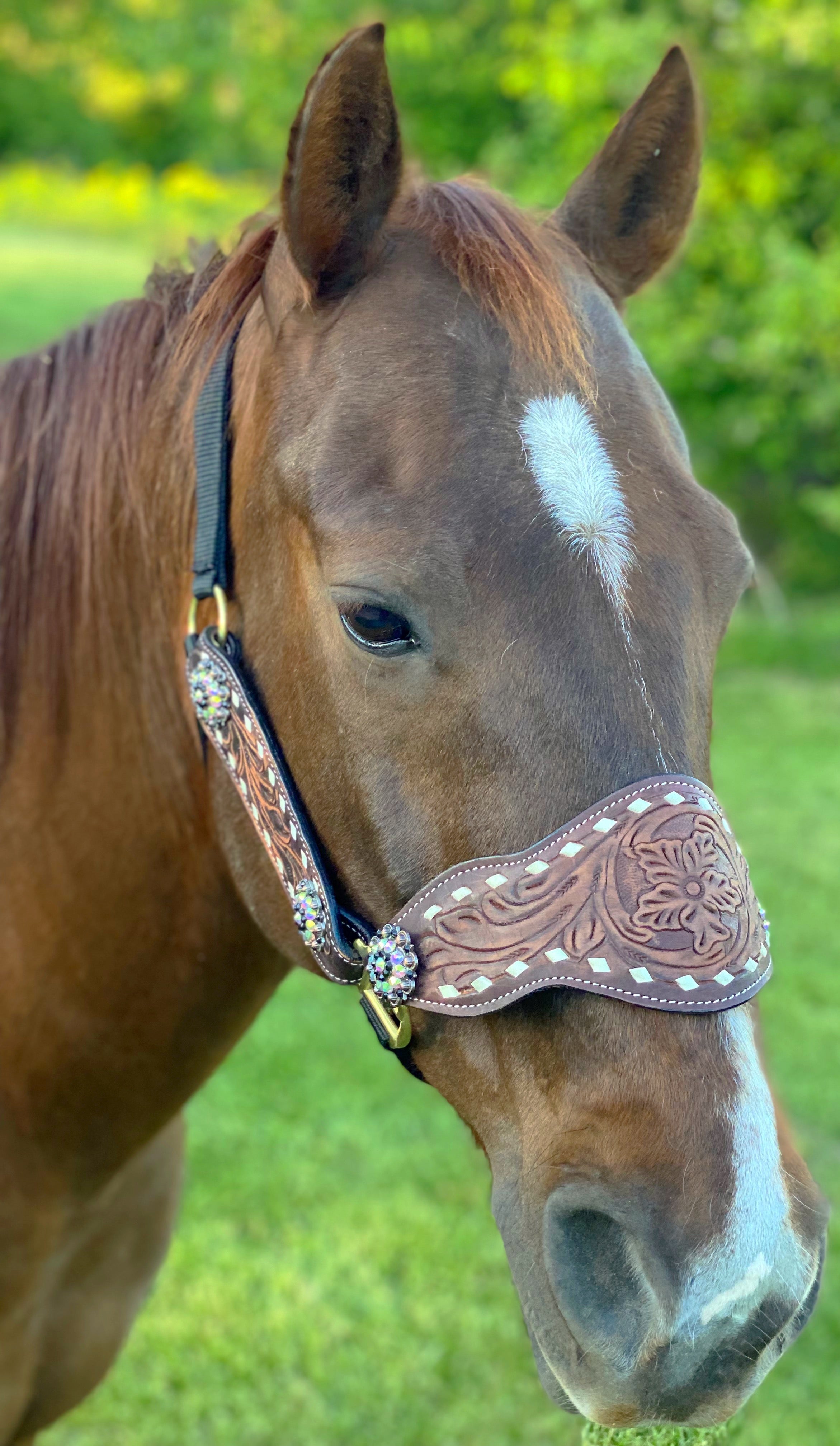 Red Cheetah Cob Size Bronc Halter – Twisted T Tack