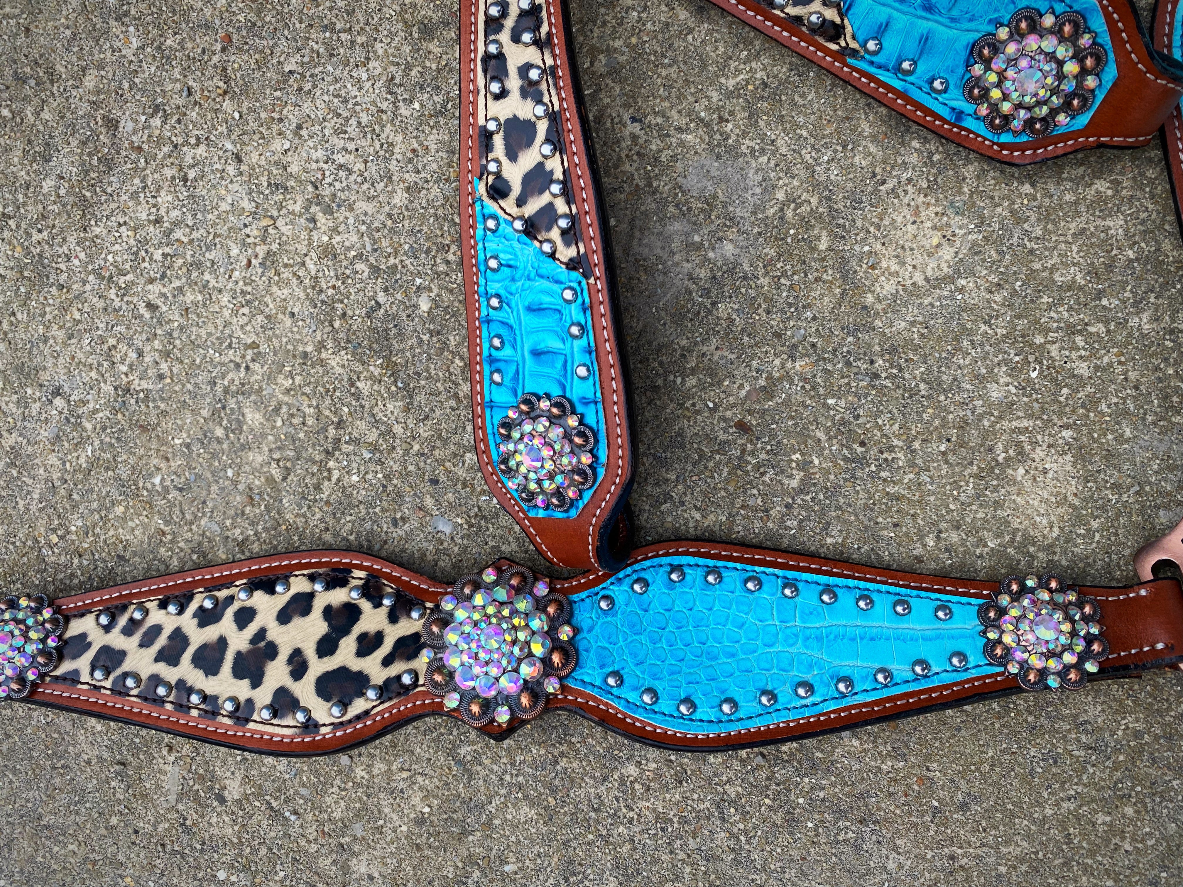 Turquoise Scroll Bronc Halter – Twisted T Tack