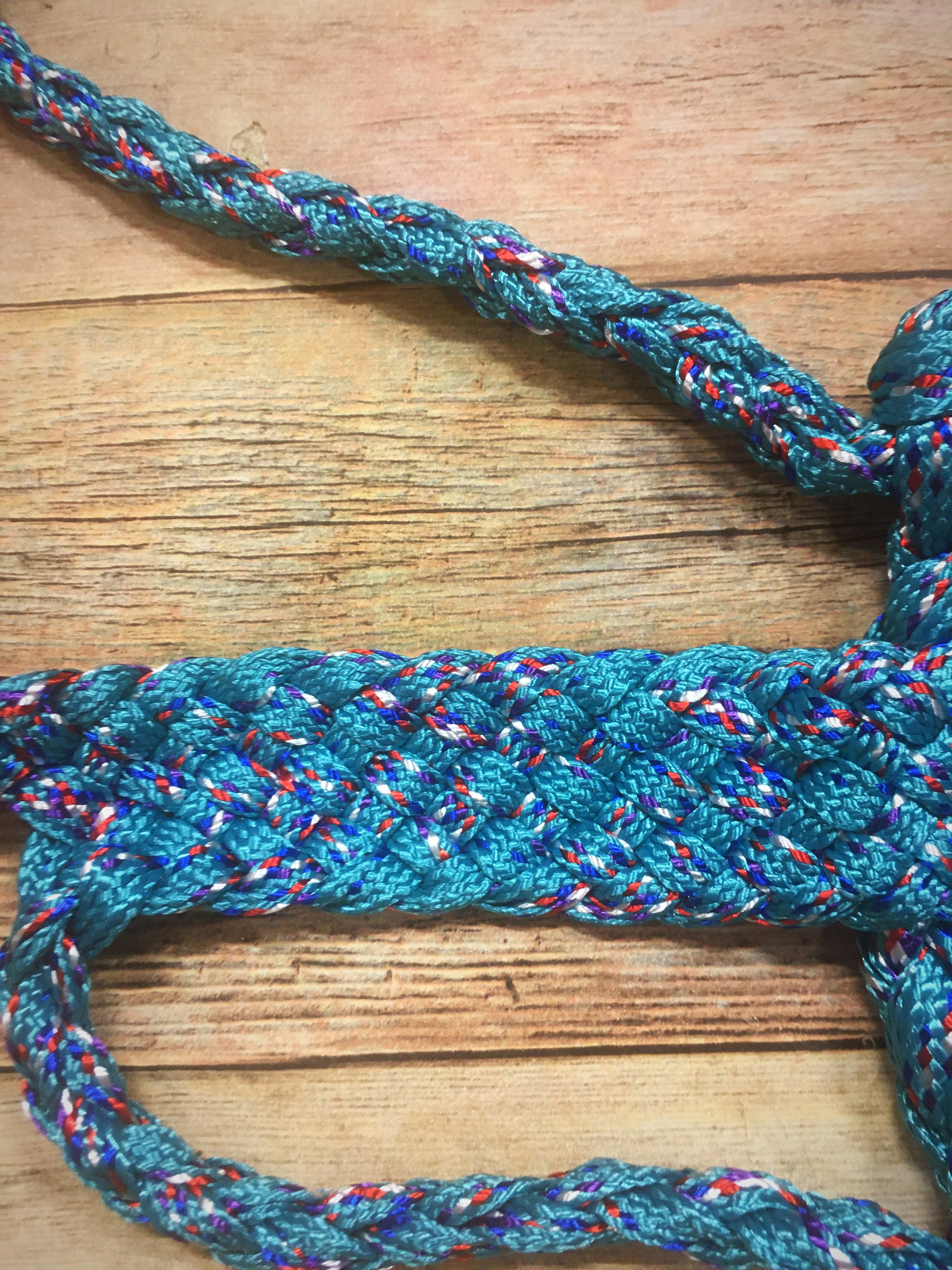 Turquoise Scroll Bronc Halter – Twisted T Tack