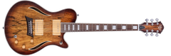 Michael Kelly Hybrid Guitar