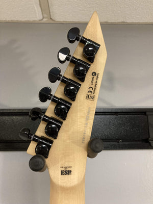 esp ltd guitar serial number lookup