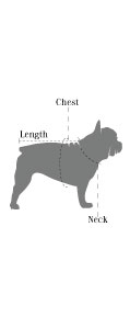 Dog Pet Size Chart