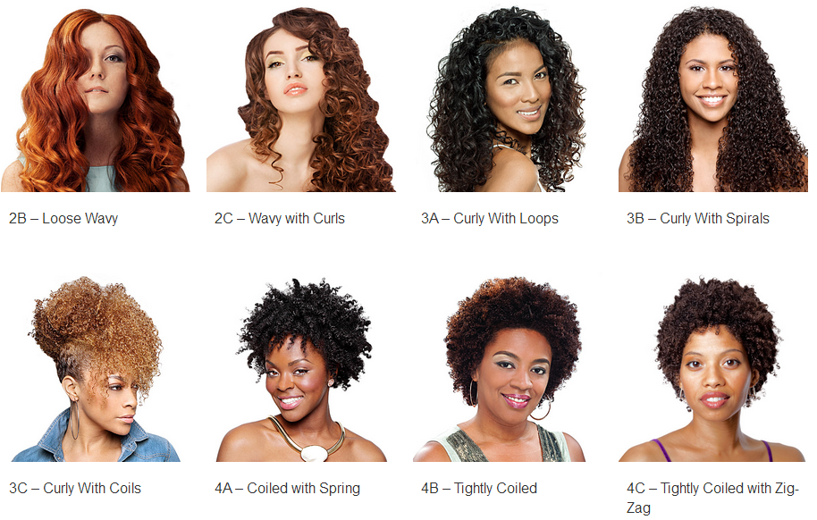 Different hair types: 2B, 2C, 3A, 3B, 3C, 4A, 4B, 4C